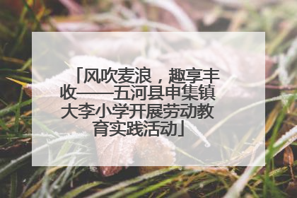 风吹麦浪，趣享丰收——五河县申集镇大李小学开展劳动教育实践活动