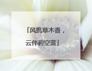 风携草木香，云伴碧空蓝