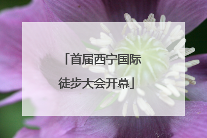 首届西宁国际徒步大会开幕