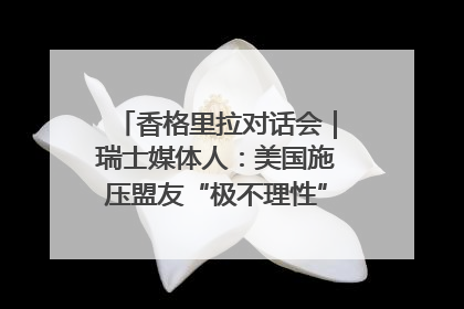 香格里拉对话会｜瑞士媒体人：美国施压盟友“极不理性” 欧洲国家无意与中国“脱钩断链”
