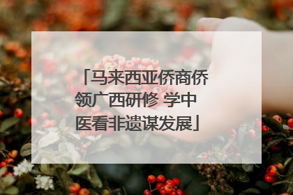 马来西亚侨商侨领广西研修 学中医看非遗谋发展