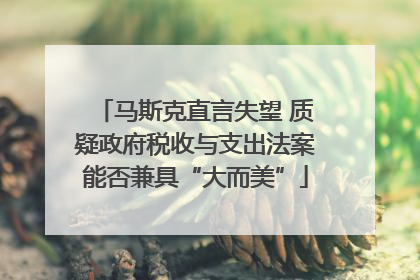 马斯克直言失望 质疑政府税收与支出法案能否兼具“大而美”