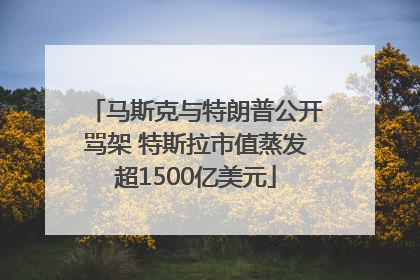 马斯克与特朗普公开骂架 特斯拉市值蒸发超1500亿美元