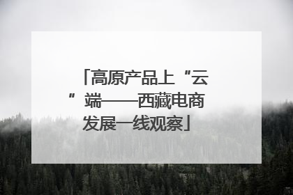 高原产品上“云”端——西藏电商发展一线观察