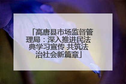高唐县市场监督管理局：深入推进民法典学习宣传 共筑法治社会新篇章