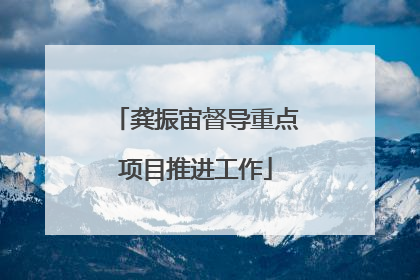 龚振宙督导重点项目推进工作