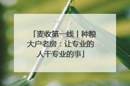 麦收第一线丨种粮大户老房：让专业的人干专业的事