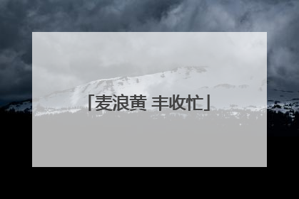 麦浪黄 丰收忙