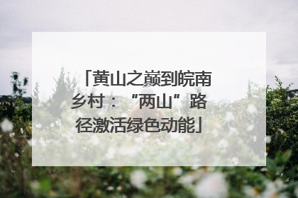 黄山之巅到皖南乡村：“两山”路径激活绿色动能