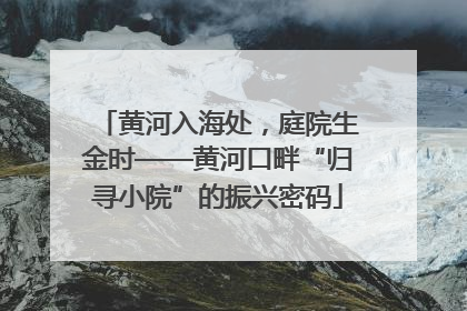 黄河入海处，庭院生金时——黄河口畔“归寻小院”的振兴密码