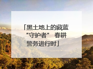 黑土地上的藏蓝“守护者” 春耕警务进行时
