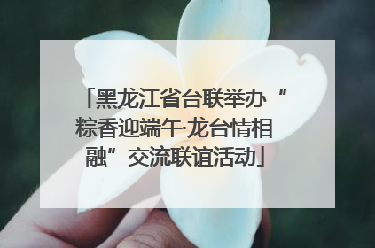 黑龙江省台联举办“粽香迎端午·龙台情相融”交流联谊活动