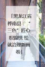 黑龙江省桦南县：“三色”匠心织锦绣 绘就治理新画卷
