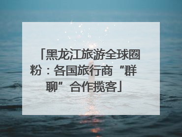 黑龙江旅游全球圈粉：各国旅行商“群聊”合作揽客