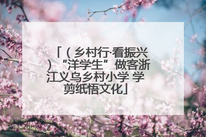 （乡村行·看振兴）“洋学生”做客浙江义乌乡村小学 学剪纸悟文化