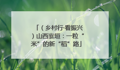 （乡村行·看振兴）山西襄垣：一粒“米”的新“稻”路