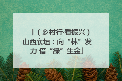 （乡村行·看振兴）山西襄垣：向“林”发力 借“绿”生金