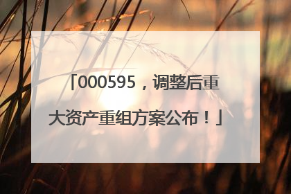 000595，调整后重大资产重组方案公布！