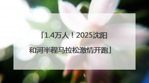 1.4万人！2025沈阳和河半程马拉松激情开跑