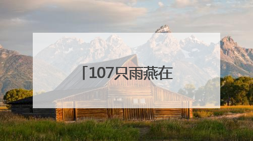 107只雨燕在颐和园完成“年度体检”，北京雨燕数量已超一万只