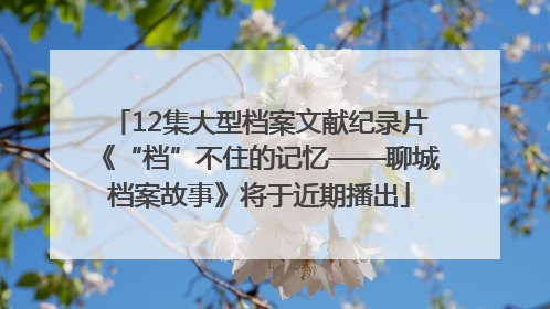 12集大型档案文献纪录片《“档”不住的记忆——聊城档案故事》将于近期播出
