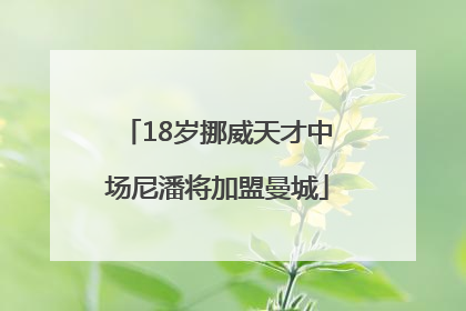 18岁挪威天才中场尼潘将加盟曼城