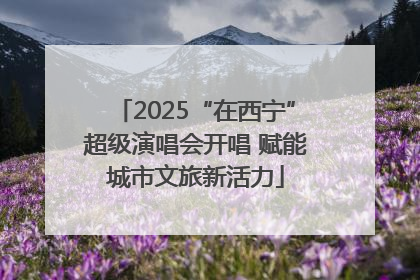 2025“在西宁”超级演唱会开唱 赋能城市文旅新活力