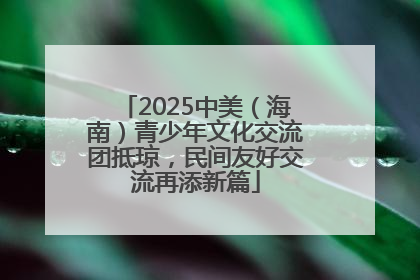 2025中美（海南）青少年文化交流团抵琼，民间友好交流再添新篇