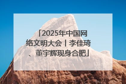 2025年中国网络文明大会丨李佳琦、董宇辉现身合肥