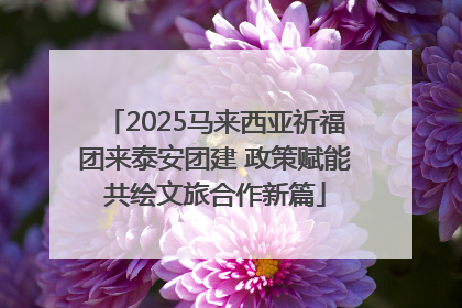 2025马来西亚祈福团来泰安团建 政策赋能共绘文旅合作新篇