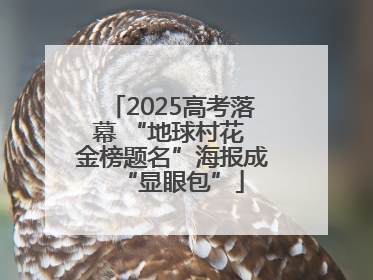 2025高考落幕 “地球村花 金榜题名”海报成“显眼包”