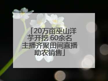 20万亩巫山洋芋开挖 60余名主播齐聚田间直播助农销售