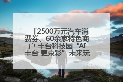 2500万元汽车消费券、60余家特色商户 丰台科技园“AI丰台 更京彩”未来玩家市集活动正式开幕