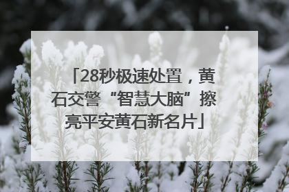 28秒极速处置，黄石交警“智慧大脑”擦亮平安黄石新名片