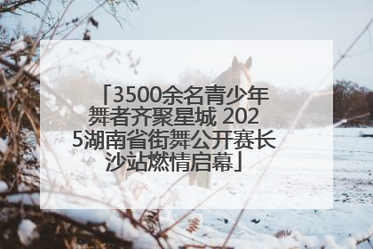 3500余名青少年舞者齐聚星城 2025湖南省街舞公开赛长沙站燃情启幕