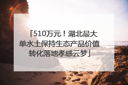 510万元！湖北最大单水土保持生态产品价值转化落地孝感云梦