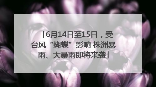 6月14日至15日，受台风“蝴蝶”影响 株洲暴雨、大暴雨即将来袭