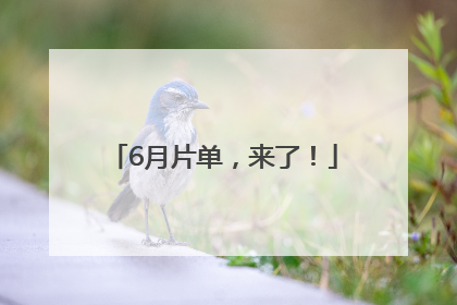 6月片单，来了！