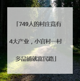 749人的村庄竟有4大产业，小官村一村多品铺就富民路