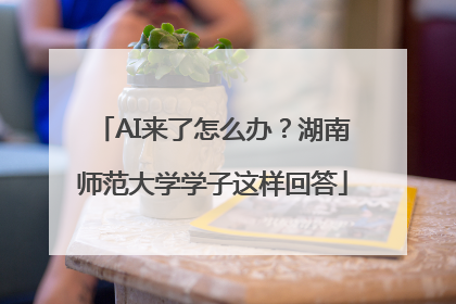 AI来了怎么办？湖南师范大学学子这样回答