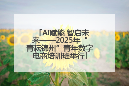 AI赋能 智启未来——2025年“青耘锦州”青年数字电商培训班举行